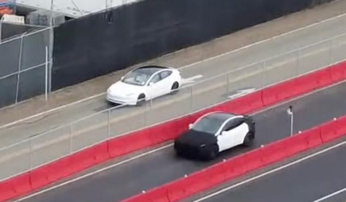 З'явилися фото можливого бюджетного варіанту Tesla Model Y