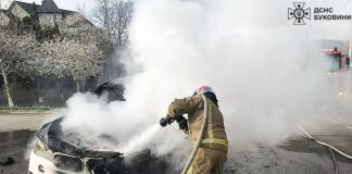 ДСНС розповіла, як діяти при загорянні авто та як запобігти пожежі