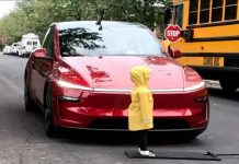 Автопілот Tesla провалив тест безпеки з дитячим манекеном