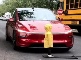Автопілот Tesla провалив тест безпеки з дитячим манекеном