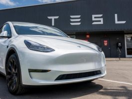 Ринок електромобілів в Україні: Tesla обігнала Nissan Leaf у популярності