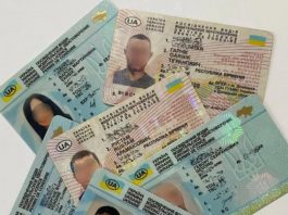 В Україні масово з’явилися «дзеркальні» водійські посвідчення: що треба знати