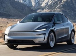Tesla готує бюджетну версію Model Y без панорами та зі зміненим салоном (ФОТО)