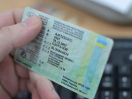 В ЄС почалася масштабна заміна водійських посвідчень: що треба знати водіям