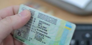 В ЄС почалася масштабна заміна водійських посвідчень: що треба знати водіям