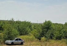 Експерти назвали корисні аксесуари для автоподорожі
