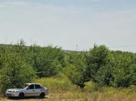 Експерти назвали корисні аксесуари для автоподорожі