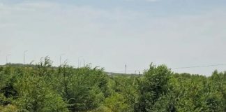 Експерти назвали корисні аксесуари для автоподорожі
