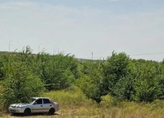Експерти назвали корисні аксесуари для автоподорожі