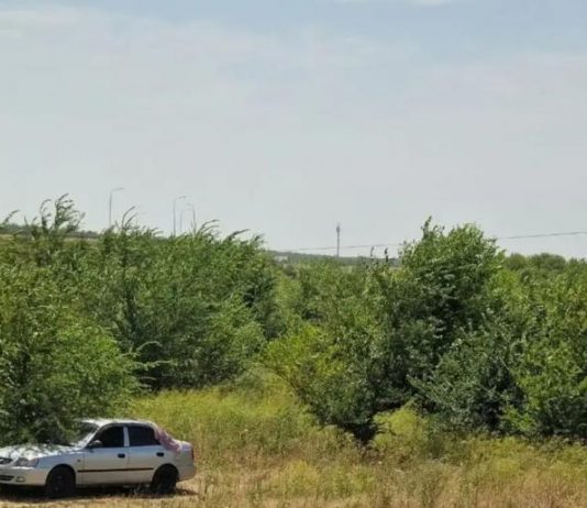 Експерти назвали корисні аксесуари для автоподорожі