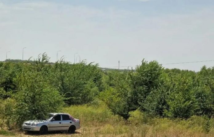 Експерти назвали корисні аксесуари для автоподорожі
