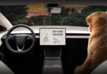 Tesla повертає важіль поворотників у Model 3