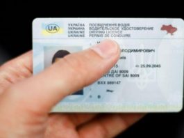 Водійське посвідчення з новими даними: як і коли оновити документ без штрафів