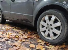 Названо головні небезпеки осінніх доріг і як їх уникнути