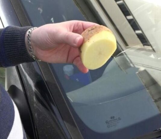 Секрети водіїв: як картопля допомагає склу залишатися чистим Секрети водіїв: як картопля допомагає склу залишатися чистим