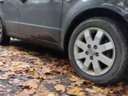 Як уникнути поломок восени: поради експертів для автовласників
