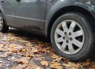 Як уникнути поломок восени: поради експертів для автовласників