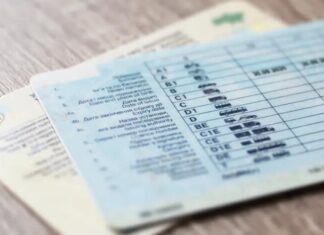 В Україні водії зобов’язані переоформлювати права протягом 10 днів
