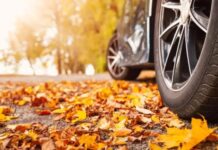 Названо 2 прості способи зберегти чистоту авто восени