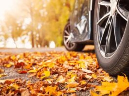 Названо 2 прості способи зберегти чистоту авто восени