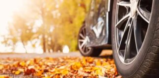 Названо 2 прості способи зберегти чистоту авто восени
