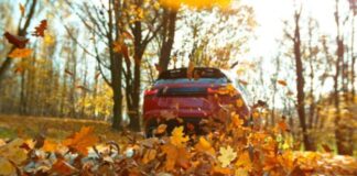 Чому повний привід може бути небезпечним восени
