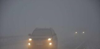 Чому дальнє світло у тумані небезпечне та як правильно освітлювати дорогу