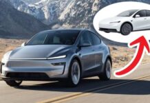 Tesla готує бюджетний кросовер Model Y Standard за $39 990
