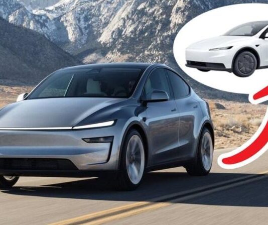 Tesla готує бюджетний кросовер Model Y Standard за $39 990