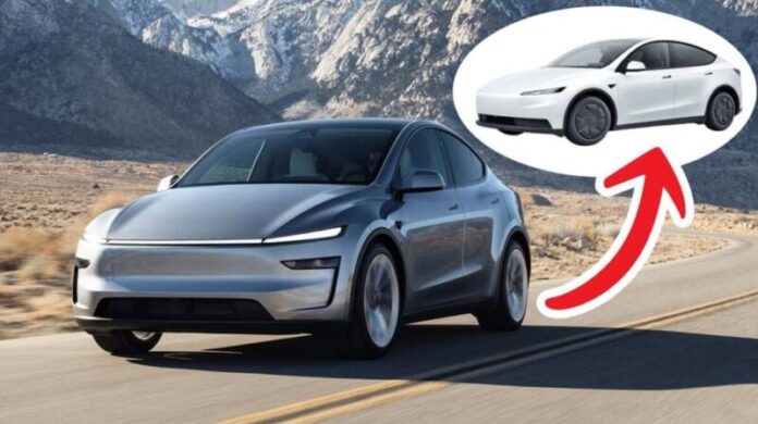 Tesla готує бюджетний кросовер Model Y Standard за $39 990