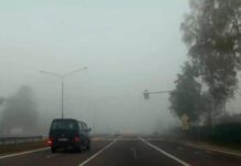 Експерти нагадали, як безпечно керувати автомобілем у тумані