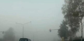 Експерти нагадали, як безпечно керувати автомобілем у тумані