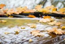 Що водії найчастіше забувають зробити з автомобілем перед зимою