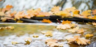 Що водії найчастіше забувають зробити з автомобілем перед зимою