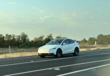З’явилися перші фото доступного Tesla Model Y без камуфляжу