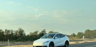 З’явилися перші фото доступного Tesla Model Y без камуфляжу