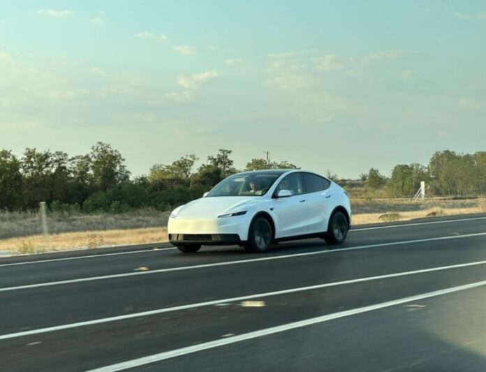 З’явилися перші фото доступного Tesla Model Y без камуфляжу