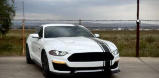 Ford відкликає майже 625 тис. авто в США через проблеми з ременями безпеки та камерами