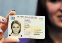 Європарламент ухвалив реформу водійських посвідчень: нові правила для всіх країн ЄС