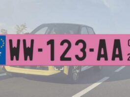 З 2026 року в ЄС з'являться рожеві номерні знаки