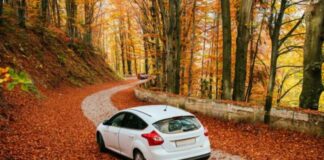 Чому досвідчені водії обирають білий колір для авто
