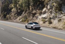 Tesla представила спрощені Model Y та Model 3 Standard (ФОТО)
