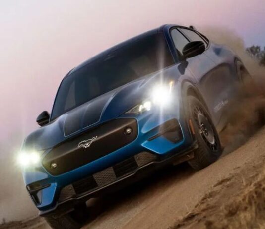 Ford прогнозує зниження частки електрокарів до 5% ринку США