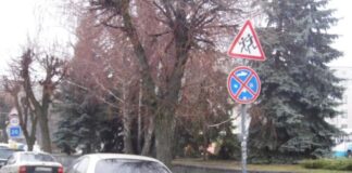 Чому штрафи за неправильну парковку часто скасовують у судах