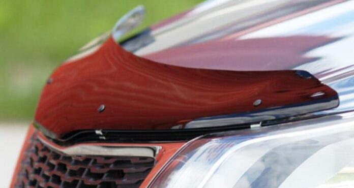 Топ-7 популярних автоаксесуарів, від яких краще відмовитися