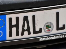 Штрафи за авто на іноземній реєстрації: що дозволено поліції