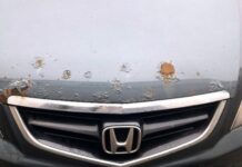 Porsche, Jaguar і BMW очолили рейтинг стійкості до іржі Porsche, Jaguar і BMW очолили рейтинг стійкості до іржі