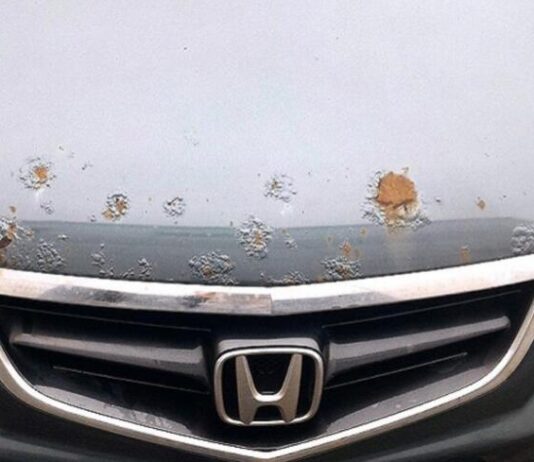 Porsche, Jaguar і BMW очолили рейтинг стійкості до іржі Porsche, Jaguar і BMW очолили рейтинг стійкості до іржі