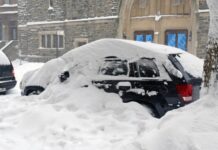 Автолюбителям розповіли, без чого не варто сідати за кермо у снігопад Автолюбителям розповіли, без чого не варто сідати за кермо у снігопад