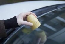 Старий водійський лайфхак: як картопля допомагає склу в дощ Старий водійський лайфхак: як картопля допомагає склу в дощ